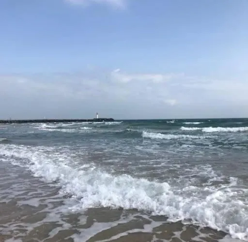 De Plain-pied à 2 Min à Pied De La Plage. Appartement *